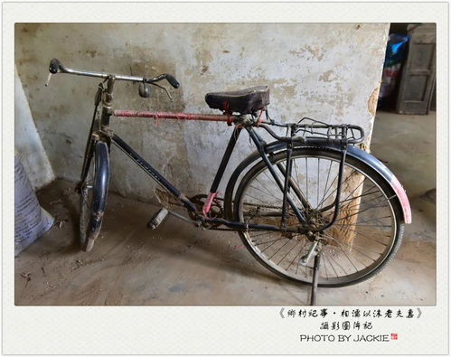 上海自行车协会