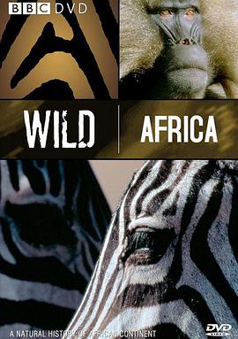 非洲动物和人性交视频