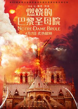 巴黎圣母院被烧了