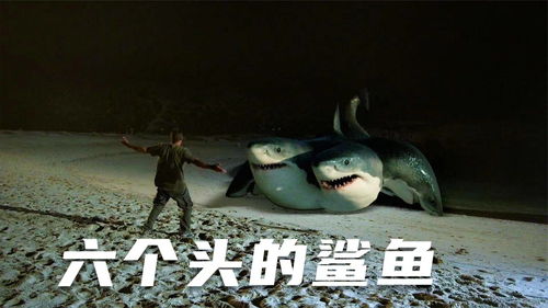 夺命二十头鲨九头鲨